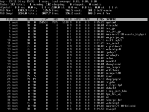 15 Ví dụ dễ hiểu về LỆNH TOP trong LINUX