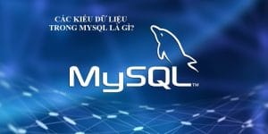 Tổng hợp A – Z Các kiểu dữ liệu trong Mysql