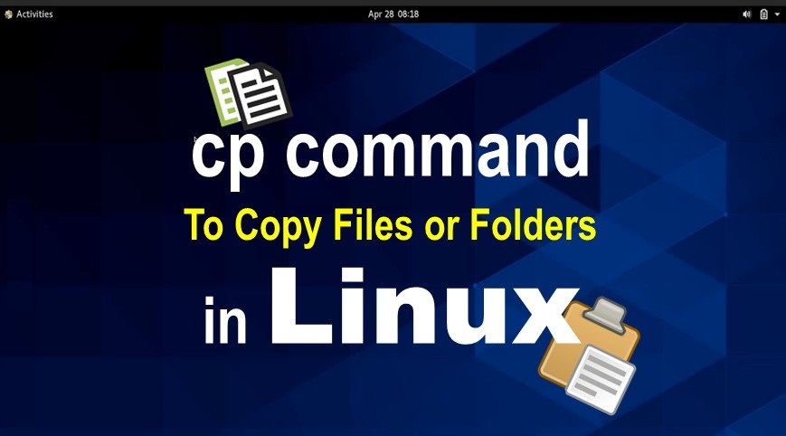 các lệnh copy trong linux