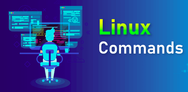 Toàn tập Từ A – Z lệnh Linux hay dùng với các ví dụ dễ hiểu nhất