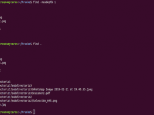 9 Ví dụ dễ hiểu về câu lệnh ECHO trong LINUX