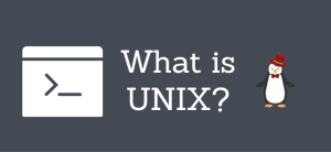 Hệ điều hành Unix là gì