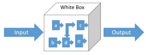 white box testing là gì