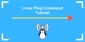 lệnh ping trong linux