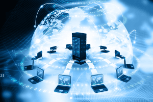 network là gì