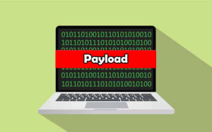 Payload là gì