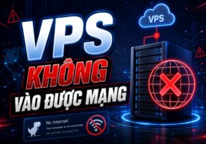 VPS kh&ocirc;ng v&agrave;o được mạng