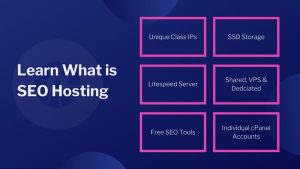 seo hosting