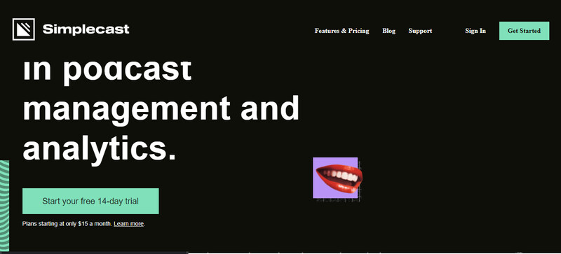 Podcast Hosting