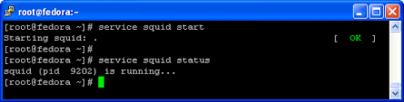proxy server