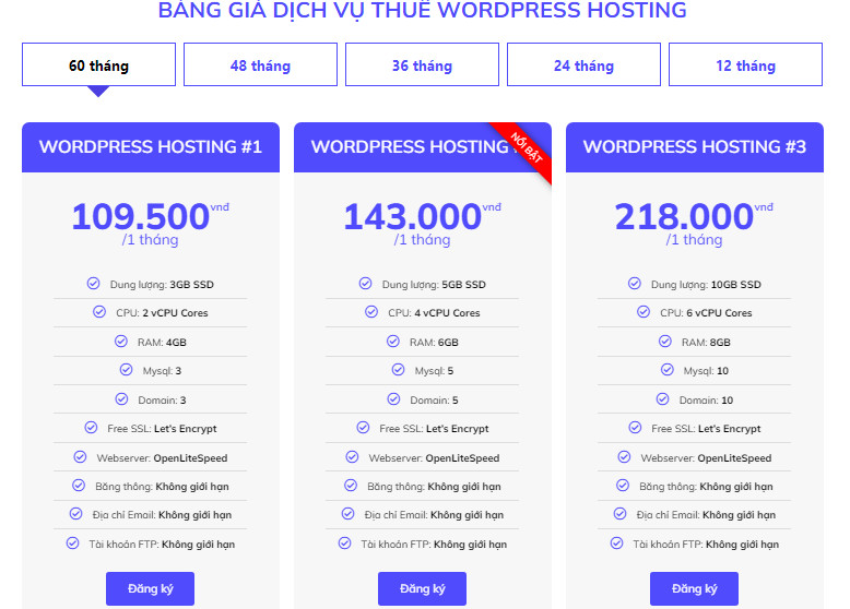 seo hosting là gì