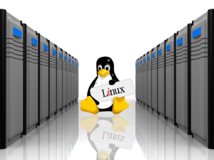 hosting linux