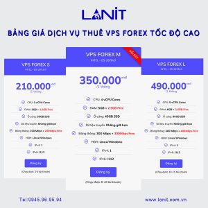 Thuê VPS Forex khuyến mãi tháng 11