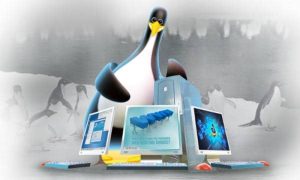 Hosting Linux