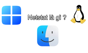 câu lệnh Netstat