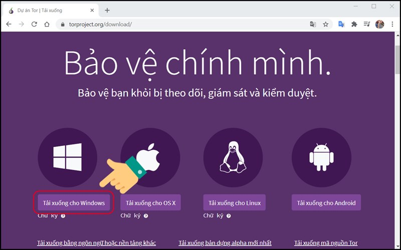 dark web là gì