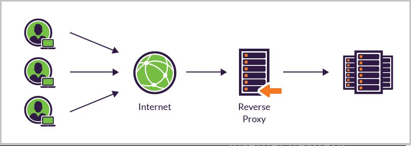 reverse proxy là gì