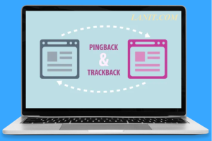 trackback là gì