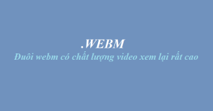 file webm là gì