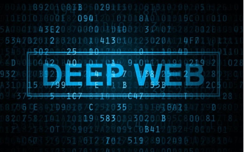 Dark Web 7