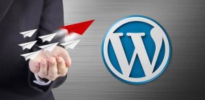 Cách Tùy chỉnh theme cho Wordpress 