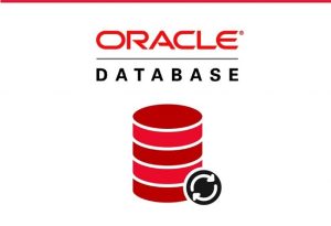 Oracle Database là gì? Ứng dụng Oracle trong Doanh Nghiệp