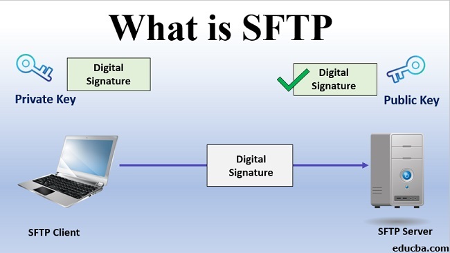 SFTP là gì? Ưu Nhược Điểm và Cách Sử Dụng SFTP