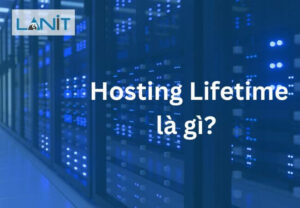 Hosting lifetime là gì? TOP 3 nhà cung cấp uy tín