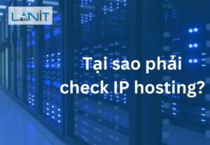 Tại sao phải check IP hosting?
