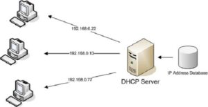Cấu Hình DHCP Server Trên Windows, Router Cisco & Switch Layer 3