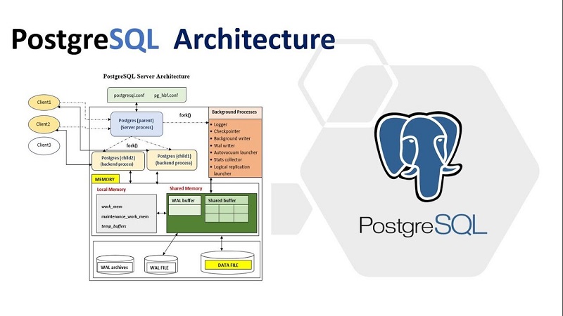 PostgreSQL là lựa chọn lý tưởng cho nhiều doanh nghiệp khác nhau