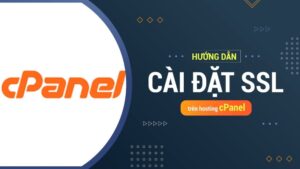 Hướng Dẫn Cài SSL Trên cPanel “Đơn Giản Nhất”