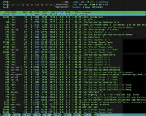 Hướng Dẫn Kiểm Tra VPS Linux có traffic Bất Thường Do Virus