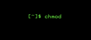 Lệnh Chmod trên Linux