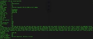 Lệnh Kiểm Tra Các Thông Số VPS Linux