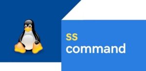 Lệnh "ss" trên Linux là gì? Các Tùy chọn phổ biến với lệnh "ss"