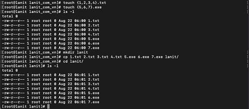 Copy nhiều file cùng lúc vào thư mục