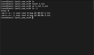 Ví dụ Các Trường Hợp sử dụng lệnh CP trong Linux