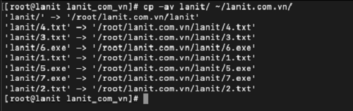 Lệnh copy thư mục trong Linux