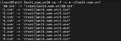 Copy file ghi đè không hỏi xác nhận