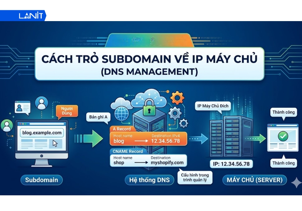Cách trỏ Subdomain về IP máy chủ (DNS Management)