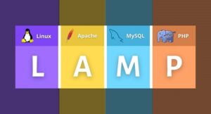 #4 Bước Cài Đặt LAMP Stack Trên Ubuntu 22.04 Nhanh Chóng