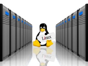 6 Cách Check Thông tin Cấu hình, Hiệu suất của linux Server