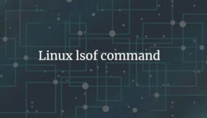 Lệnh lsof là gì? Cách Sử Dụng Lệnh lsof trên Linux
