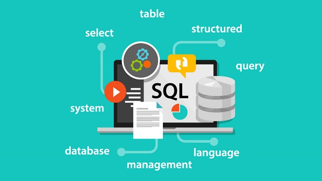 SSIS là gì? Thông tin chi tiết về Công Dụng, Thành Phần Chính