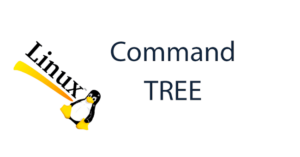 A-Z Lệnh Tree - Lệnh Liệt Kê Thư Mục & File Dạng Cây Trên Linux
