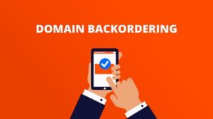 Backorder Domain là gì? Dịch vụ Giữ Chỗ Tên Miền Ở Đâu Tốt?