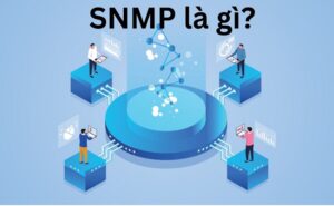 SNMP là gì? Tại sao bạn cần phải biết SNMP trong quản lý mạng?