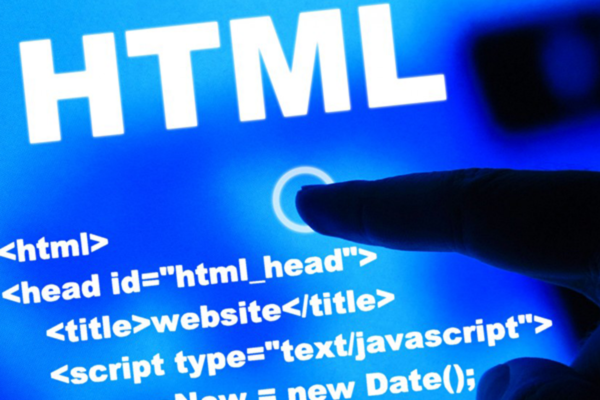Thẻ Input trong HTML là gì? Một số ví dụ về thẻ Input trong HTML