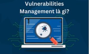 Vulnerabilities & Phương Pháp Quản Lý Lỗ Hổng Bảo Mật Tốt Nhất